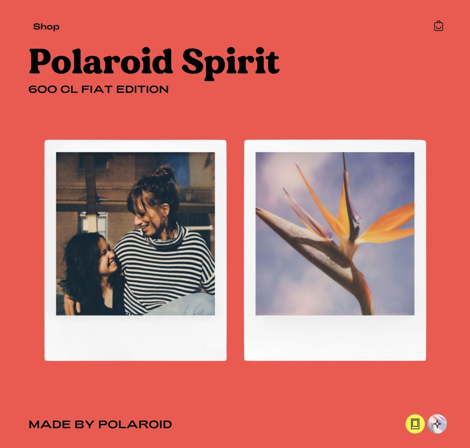 Polaroid Spirit 600 Instant Camera - Gray with Rainbow Stripe - Vintage 600 Film Camera with Built-In Flash - Photographer gift - Vintage Polaroid Instant Cameras