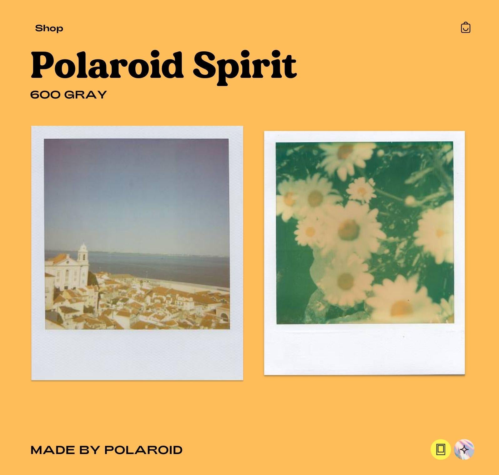 Polaroid 600 Spirit  Instant Camera - Polaroid with Rainbow Stripe - Vintage 600 Film Camera with Built-In Flash - Photographer gift - Vintage Polaroid Instant Cameras