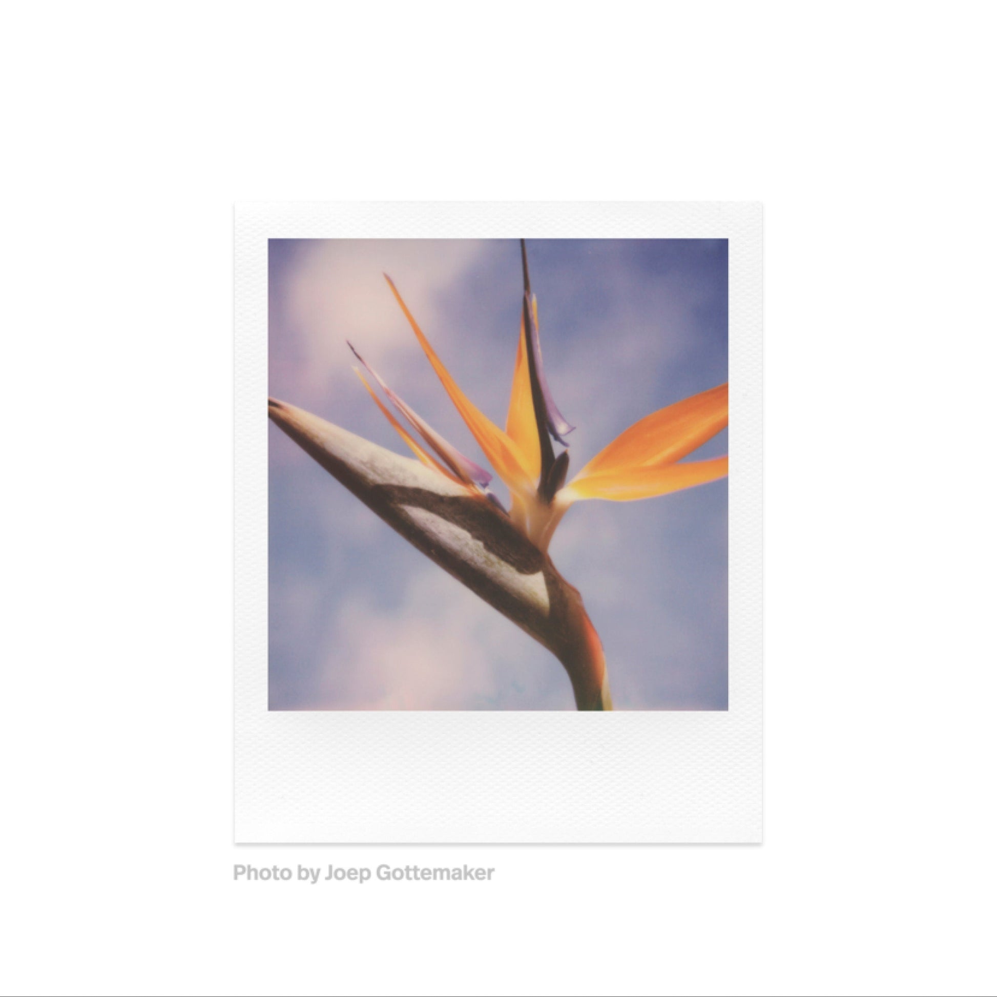 Vintage Polaroid Land Camera Pronto! Black with Red Button, Instant Film Camera, Fully Tested, Classic 70s Polaroid, Working Condition - Vintage Polaroid Instant Cameras