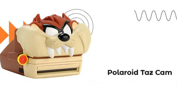 Polaroid Taz Cam – The Rarest Camera