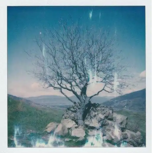Common Causes of Polaroid Photo Issues