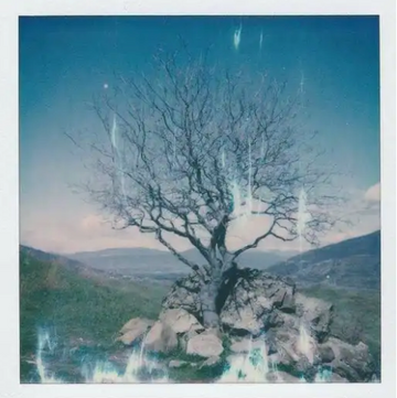Common Causes of Polaroid Photo Issues