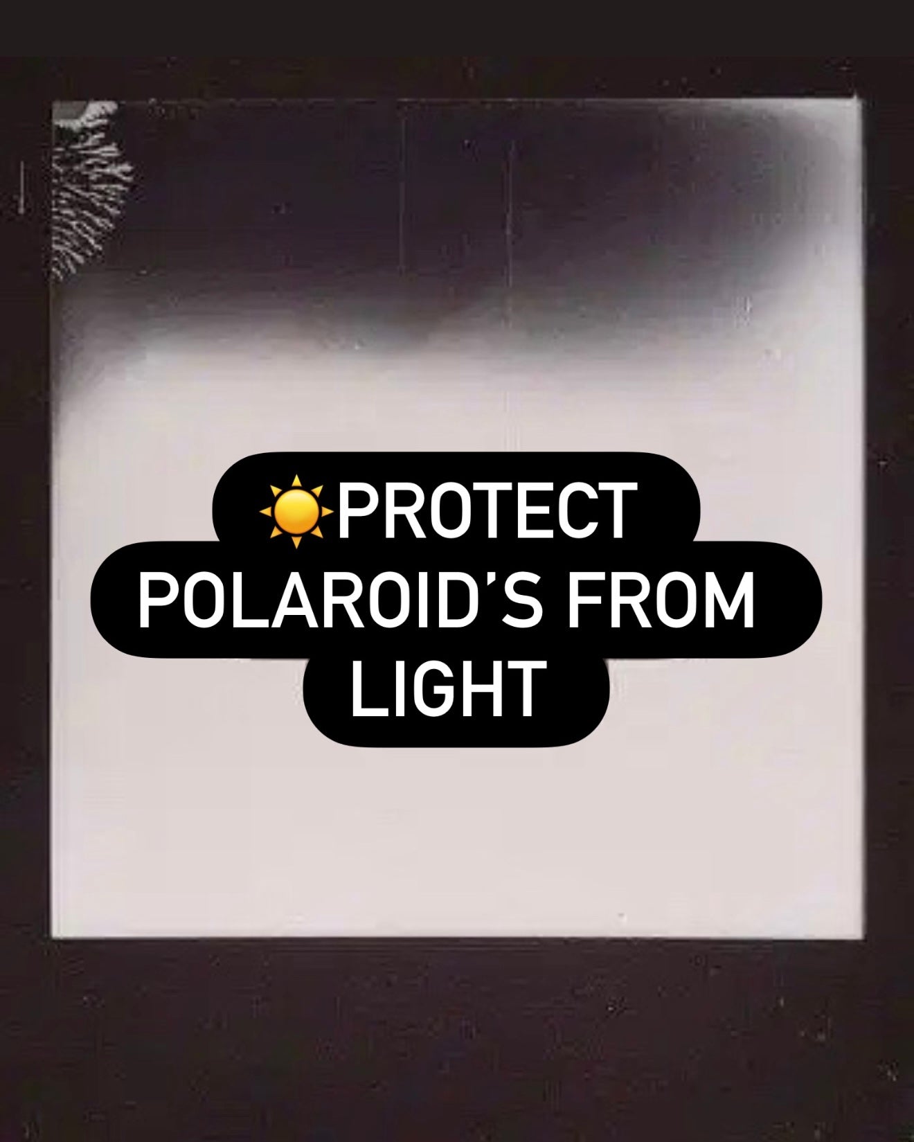 Protecting Polaroid Photos from Light