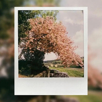 How to Use Aperture Mode with Polaroid Now+?
