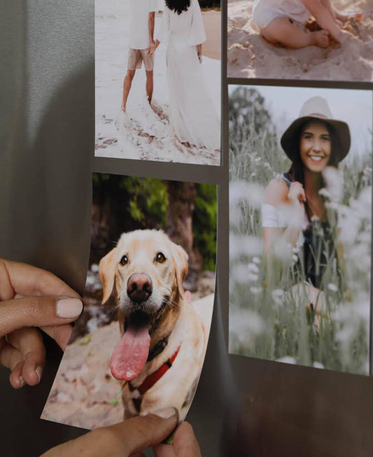 Olympus Trip 505 35mm Film Camera – Tested Point and Shoot, Vintage Olympus Compact