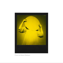 Load image into Gallery viewer, Polaroid Black &amp; Yellow 600 Film – Duochrome Edition